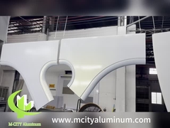 Hyperbolic Metal Panels Solid Aluminium Architectural Facade