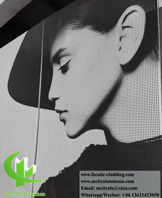 Good price Powder Coated Perforated Aluminum Facade Panel with Customizable Patterns and 3mm Thickness for Wall Cladding online